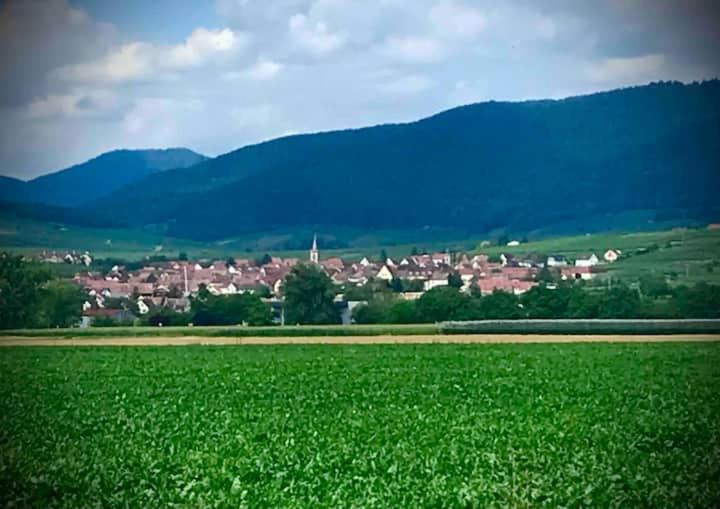 Le Clocher " Sous Les Combles" Parking Gratuit Beblenheim Exteriör bild