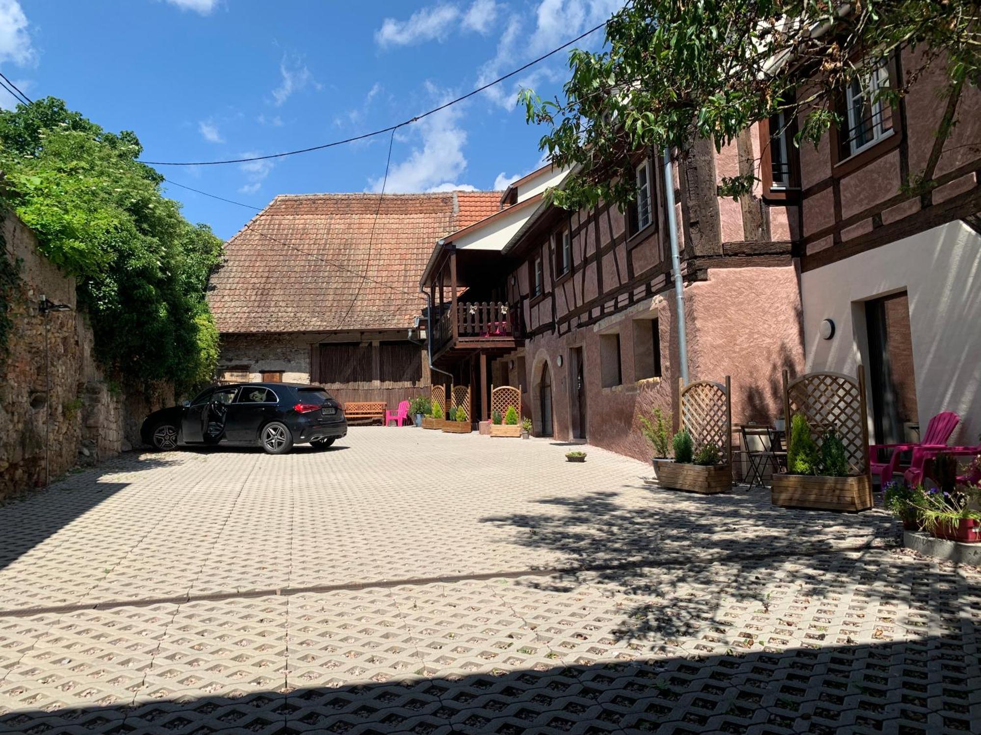 Le Clocher " Sous Les Combles" Parking Gratuit Beblenheim Exteriör bild